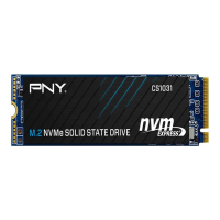 SSD PNY 1TB M2 model: M280CS1031-1TB-CL